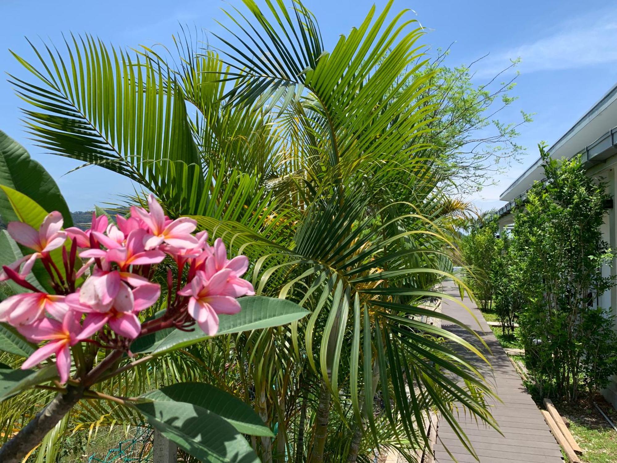 Cloud9 Holiday Cottages Pantai Cenang  Exterior foto