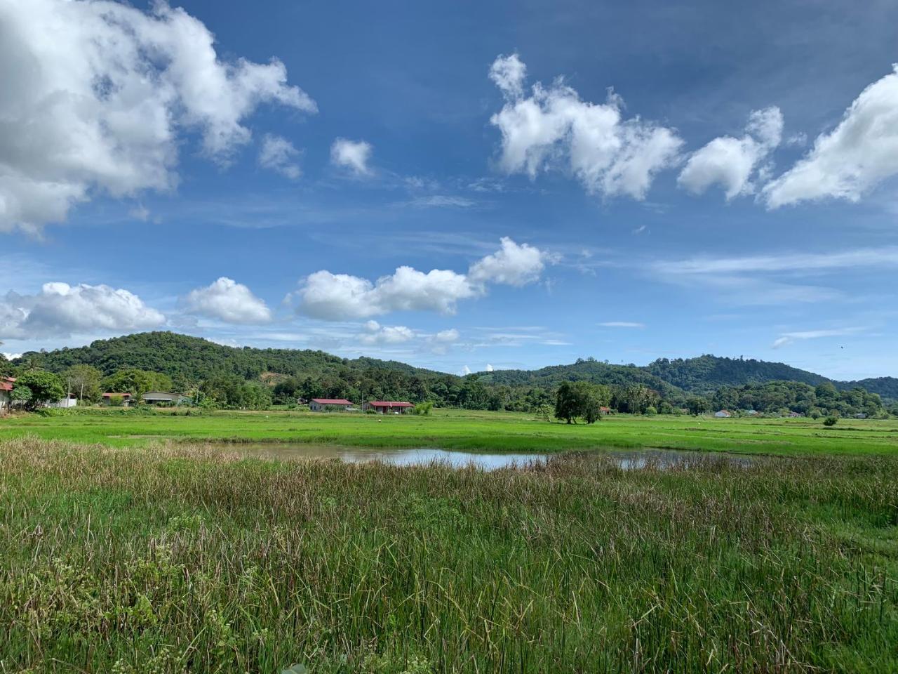 Cloud9 Holiday Cottages Pantai Cenang  Exterior foto